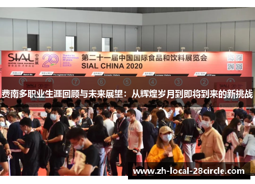 费南多职业生涯回顾与未来展望:从辉煌岁月到即将到来的新挑战 费南多职业生涯回顾与未来展望:从辉煌岁月到即将到来的新挑战