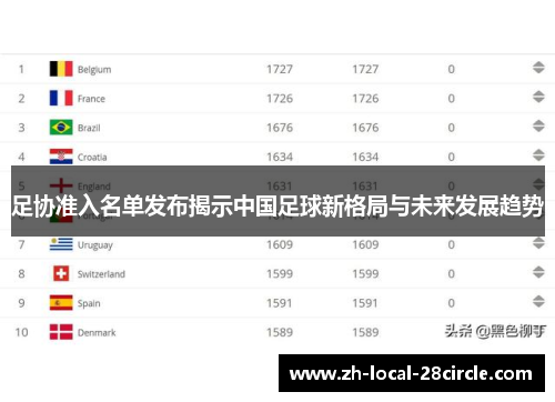 足协准入名单发布揭示中国足球新格局与未来发展趋势