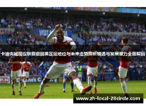 卡迪夫城现役联赛级别英足坛地位与未来走势探析境遇与发展潜力全面解码