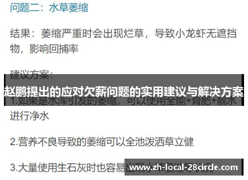 赵鹏提出的应对欠薪问题的实用建议与解决方案
