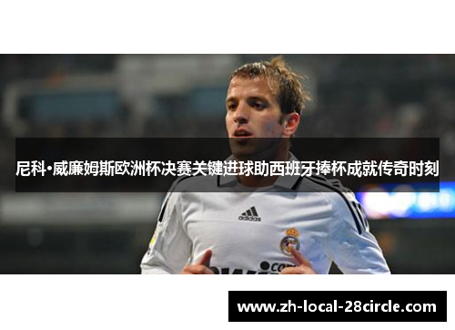 尼科·威廉姆斯欧洲杯决赛关键进球助西班牙捧杯成就传奇时刻