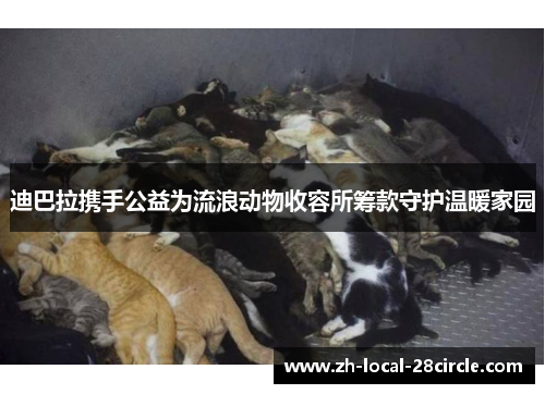 迪巴拉携手公益为流浪动物收容所筹款守护温暖家园